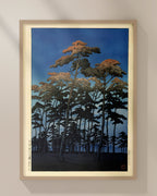 Hikawa park in Omiya by Hasui