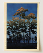 Hikawa park in Omiya by Hasui