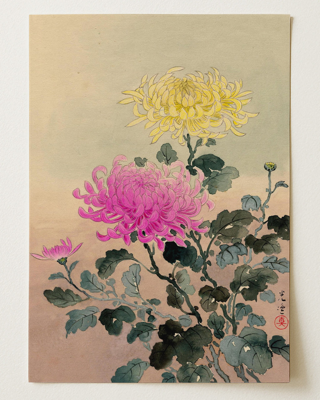 Chrysanthemum 1930 by Tsuchiya Koitsu