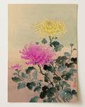 Chrysanthemum 1930 by Tsuchiya Koitsu