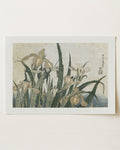 Irises and Grasshopper by Katsushika Hokusai