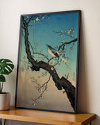 Songbird and Plum Tree by Tsuchiya Koitsu